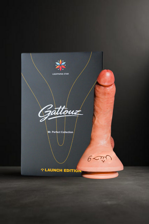 the mr perfect dildo gattouz
